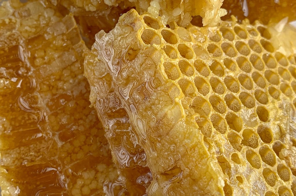 What Does Taste Like?