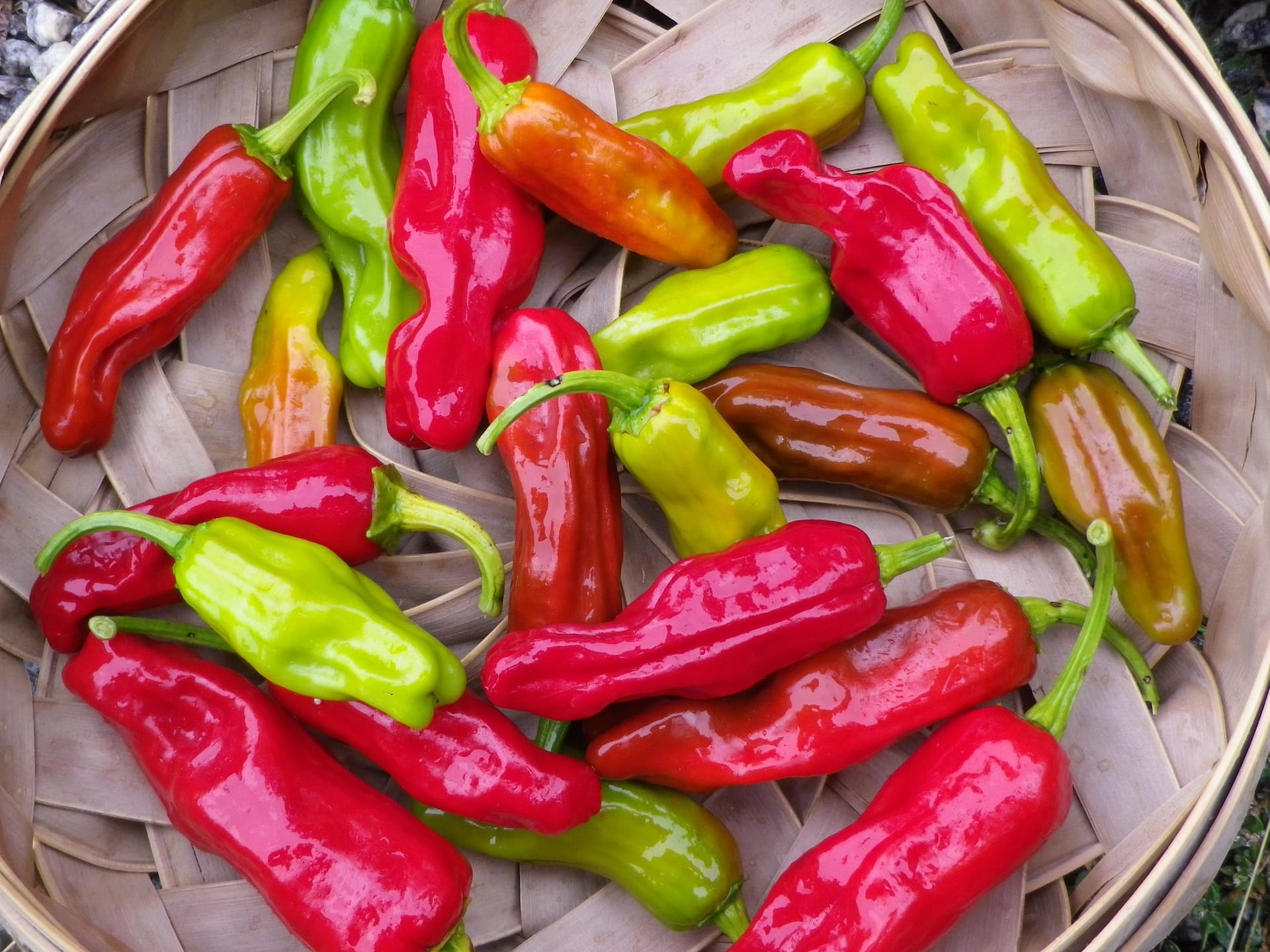 Health Benefits of Pepperoncini Peppers